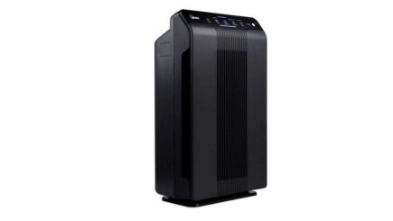 Winix 5500-2 air purifier with true HEPA review