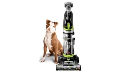 Bissell 2252 CleanView Swivel upright bagless vacuum carpet cleaner green pet review