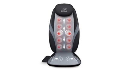 What is the best Snailax Back Massager you can buy