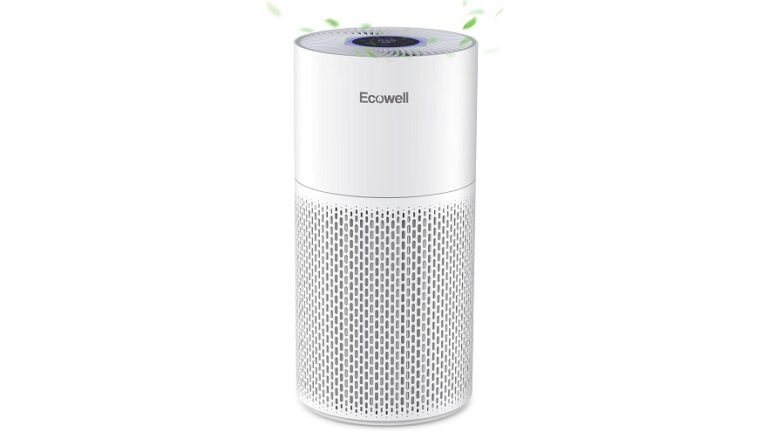 ECOWELL Air Purifiers for Home Large Room reviews